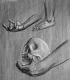 Skull: a conte crayon rendering of hands holding a human skull.