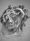 Sculpture: pencil rendering of a marble sculpture of a man wearing a flowing robe.