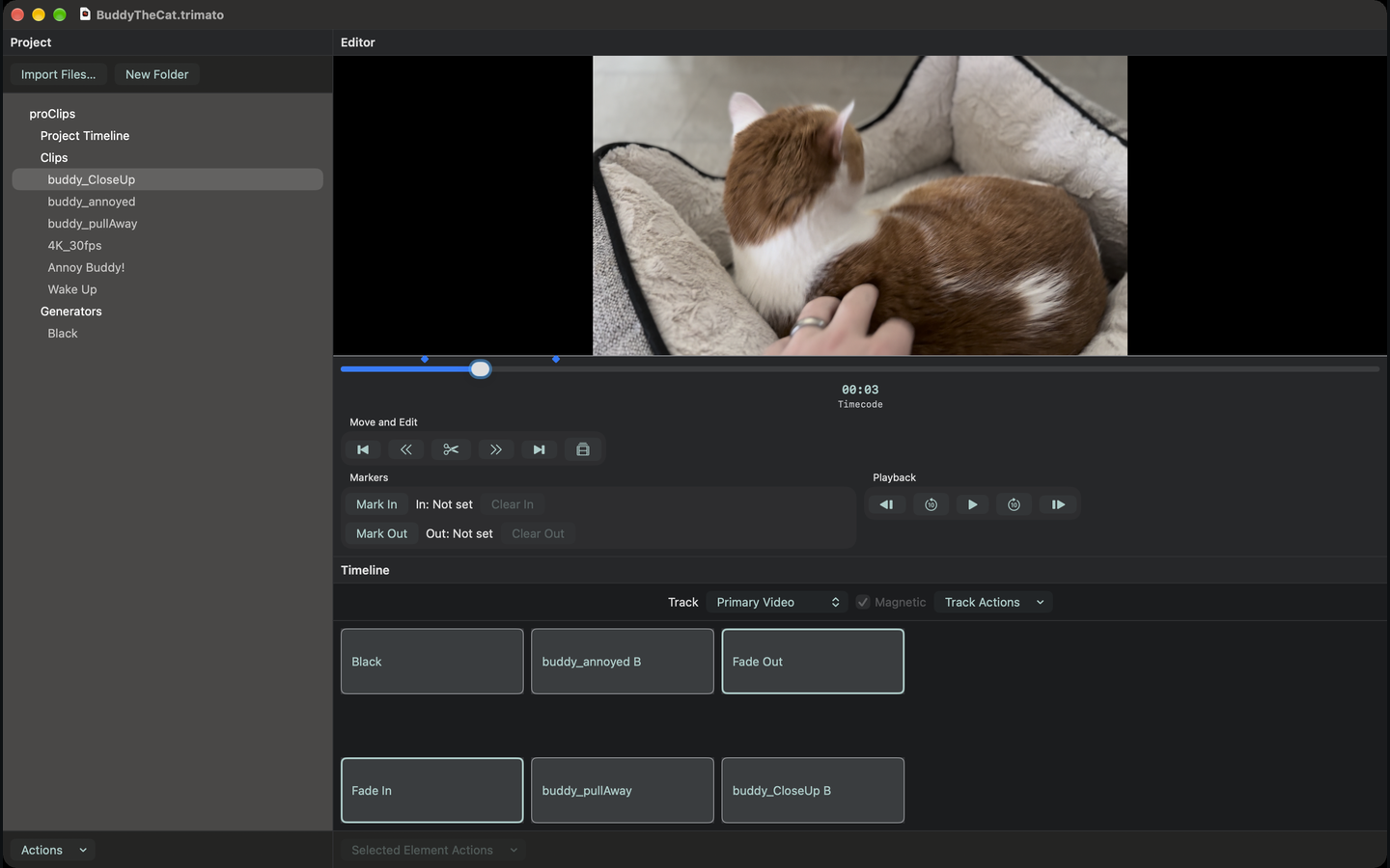 Landscape workspace showing source media, preview, and timeline together.